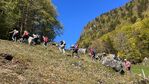 Über den Brünig nach Brienz