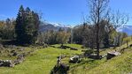 Über den Brünig nach Brienz